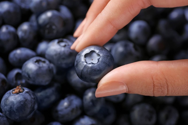 Extend Berry Freshness: Proven Storage Methods for July Harvests