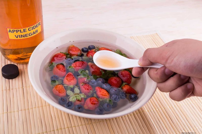 Extend Berry Freshness: Proven Storage Methods for July Harvests