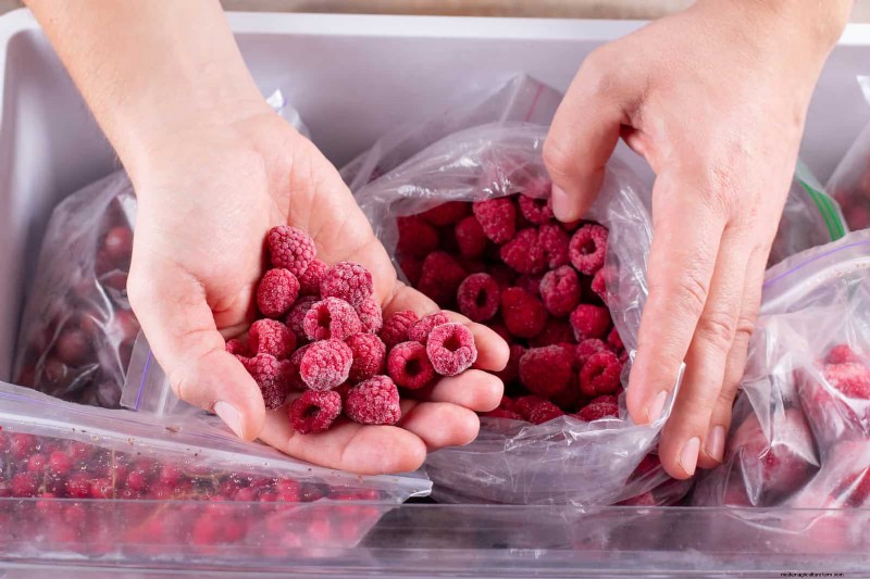 Extend Berry Freshness: Proven Storage Methods for July Harvests