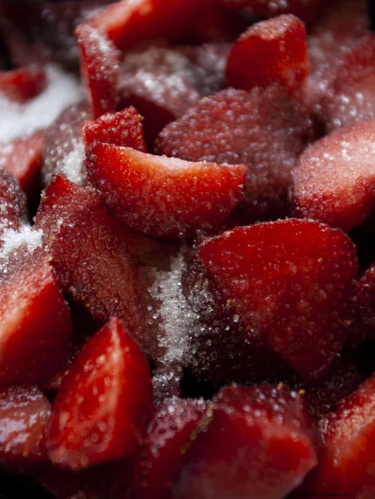 Extend Berry Freshness: Proven Storage Methods for July Harvests