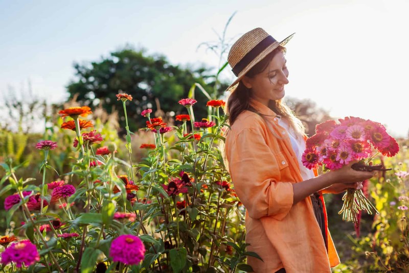 Cut-and-Come-Again Flowers for July: Endless Bouquets