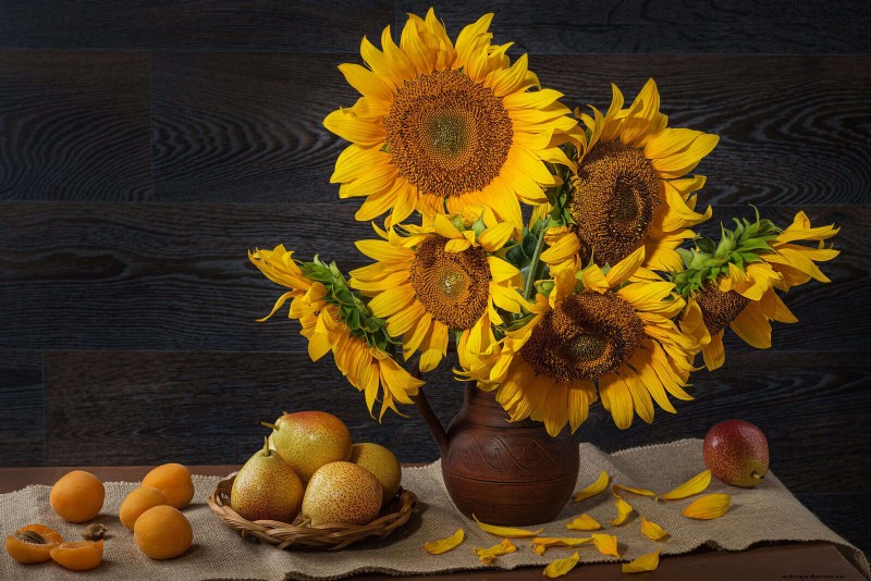 Cut-and-Come-Again Flowers for July: Endless Bouquets