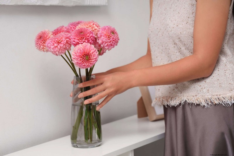 Cut-and-Come-Again Flowers for July: Endless Bouquets