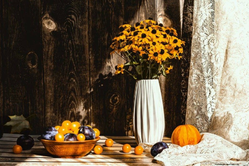 Cut-and-Come-Again Flowers for July: Endless Bouquets