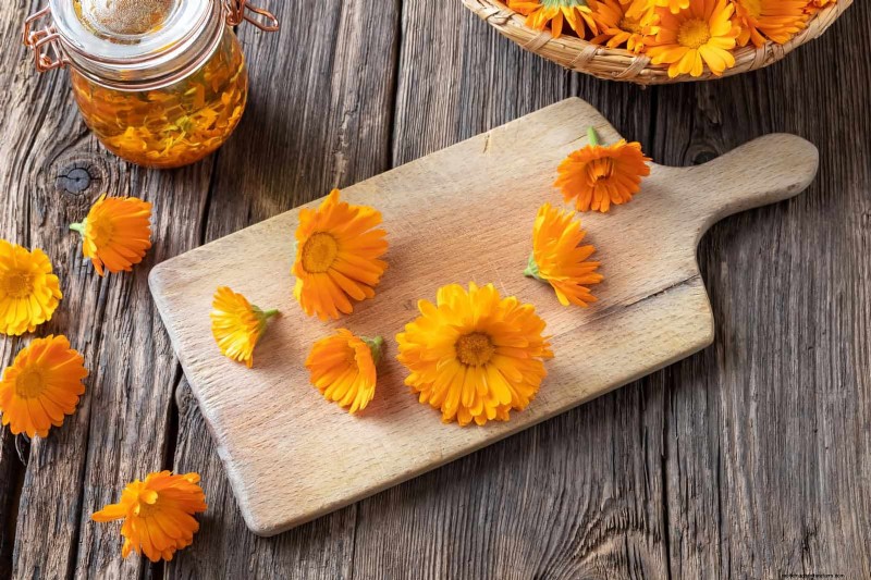 Cut-and-Come-Again Flowers for July: Endless Bouquets