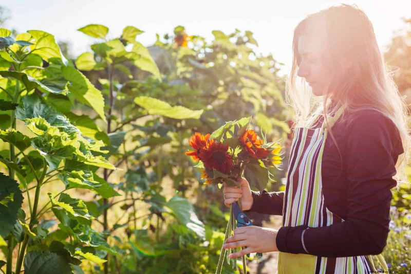 Cut-and-Come-Again Flowers for July: Endless Bouquets