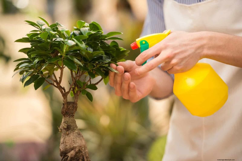 Organic Pest Control: 19 Natural Solutions for July Garden Problems