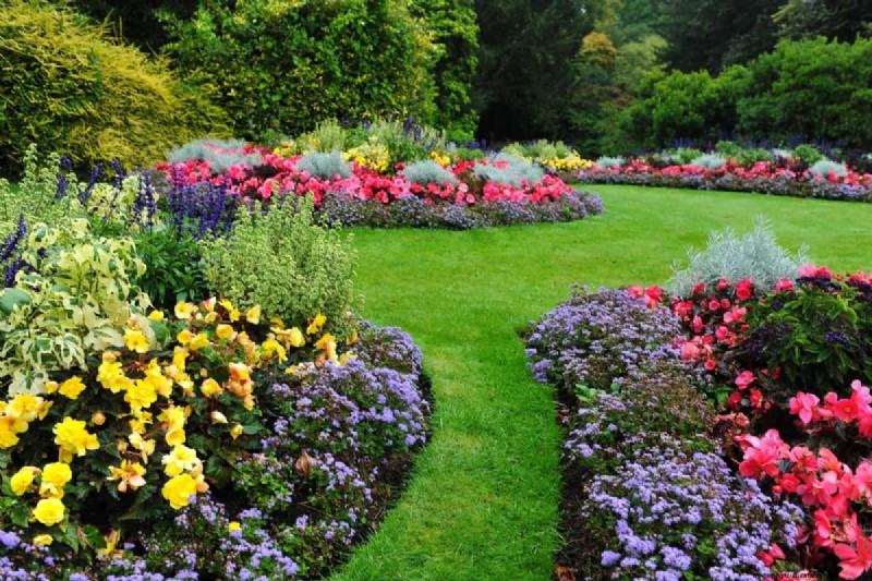 Organic Pest Control: 19 Natural Solutions for July Garden Problems
