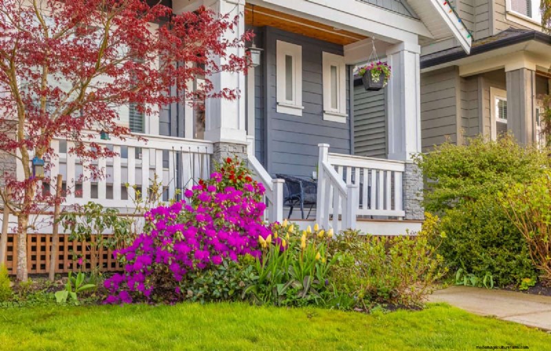 Blocking Neighbor Views with Landscaping: Legal Rights & Best Practices