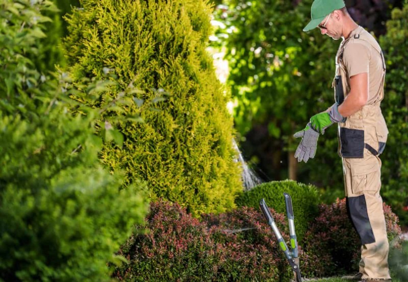Blocking Neighbor Views with Landscaping: Legal Rights & Best Practices