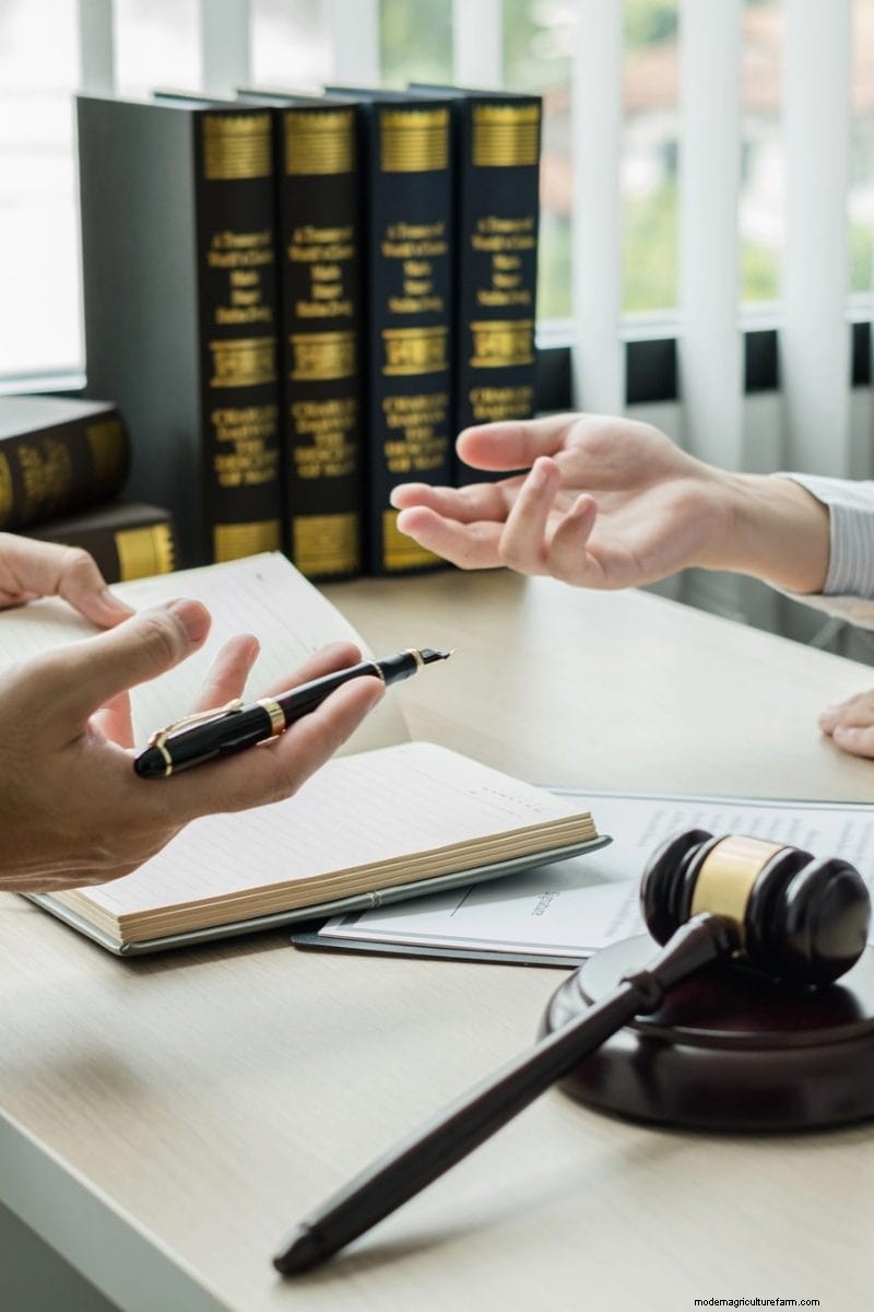 Blocking Neighbor Views with Landscaping: Legal Rights & Best Practices
