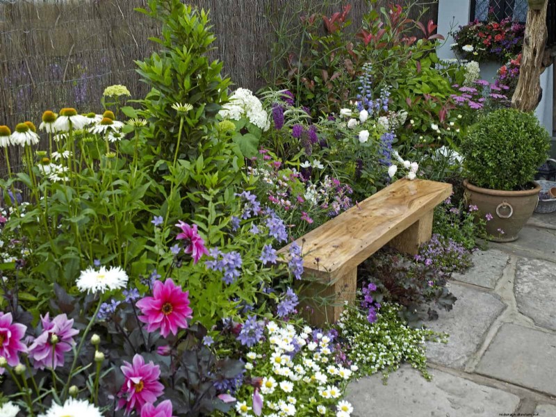 Extended Bloom: 13 Flowers for Late Summer & Early Fall Gardens