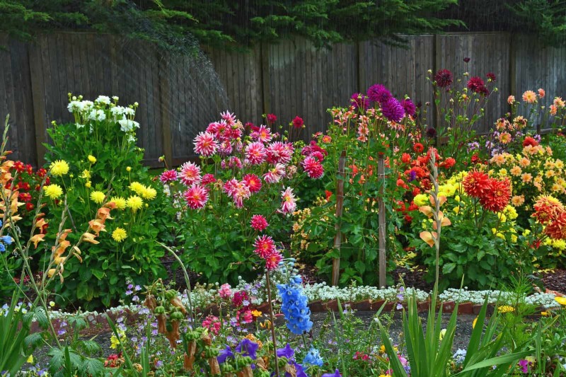 Extended Bloom: 13 Flowers for Late Summer & Early Fall Gardens