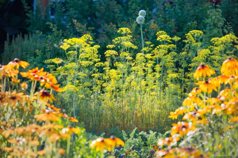 Echinacea: 15 Tips for Pollinator Attraction & Vibrant Garden Color