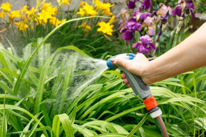 Midwest Gardening Challenges & Solutions: A Gardener s Guide