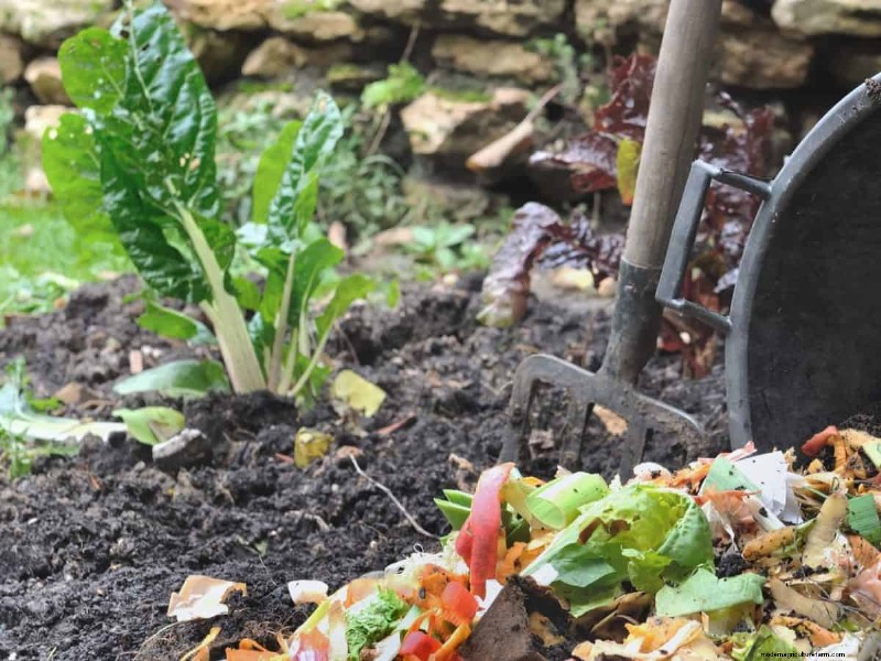 Midwest Gardening Challenges & Solutions: A Gardener s Guide