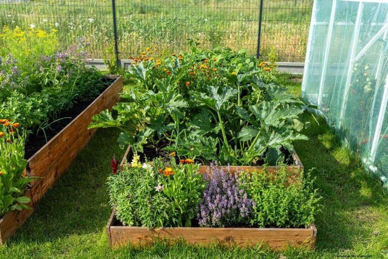 Midwest Gardening Challenges & Solutions: A Gardener s Guide