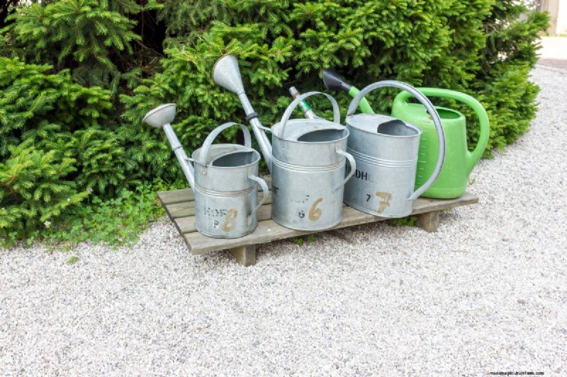 Midwest Gardening Challenges & Solutions: A Gardener s Guide