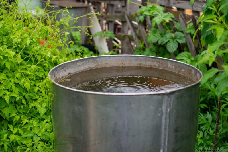 Midwest Gardening Challenges & Solutions: A Gardener s Guide