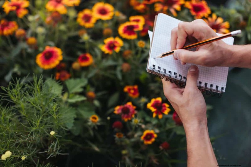 Midwest Gardening Challenges & Solutions: A Gardener s Guide