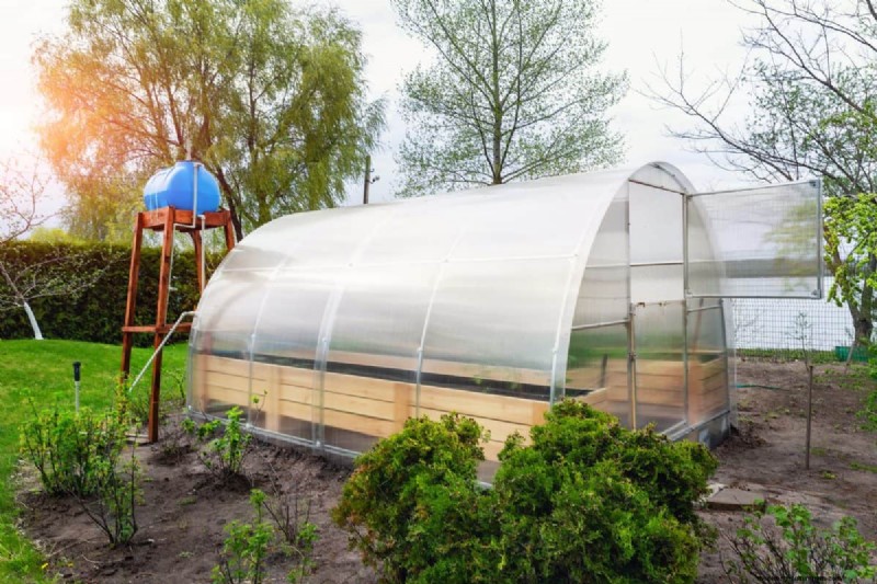 Midwest Gardening Challenges & Solutions: A Gardener s Guide