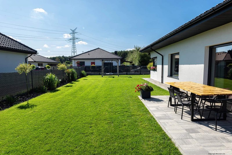 Summer Lawn Seeding: A Guide to Success