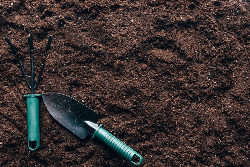Summer Lawn Seeding: A Guide to Success