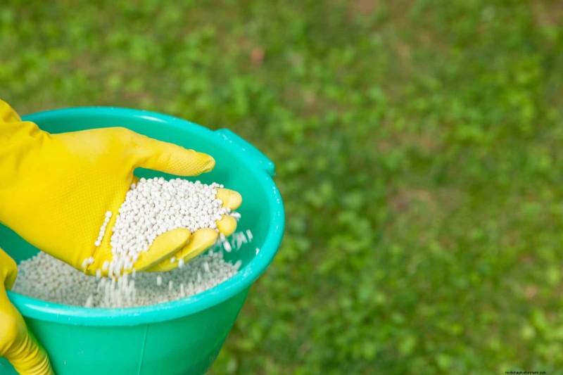Summer Lawn Seeding: A Guide to Success