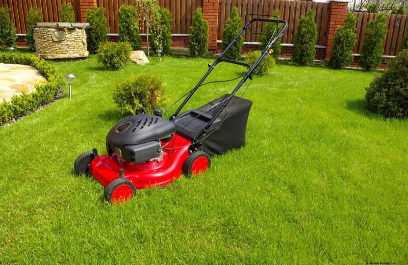 Summer Lawn Seeding: A Guide to Success