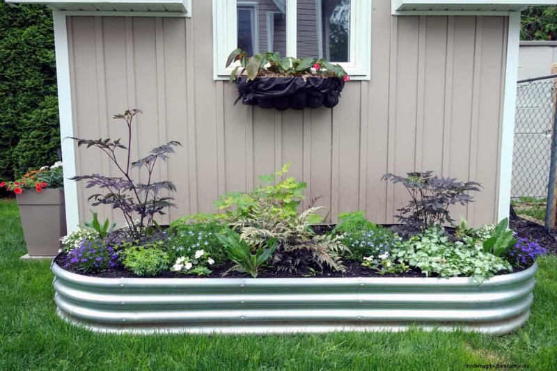 Avoid Common Raised Bed Gardening Mistakes for a Bountiful Harvest