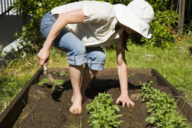 Avoid Common Raised Bed Gardening Mistakes for a Bountiful Harvest