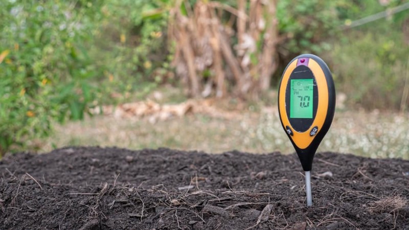 Avoid Common Raised Bed Gardening Mistakes for a Bountiful Harvest