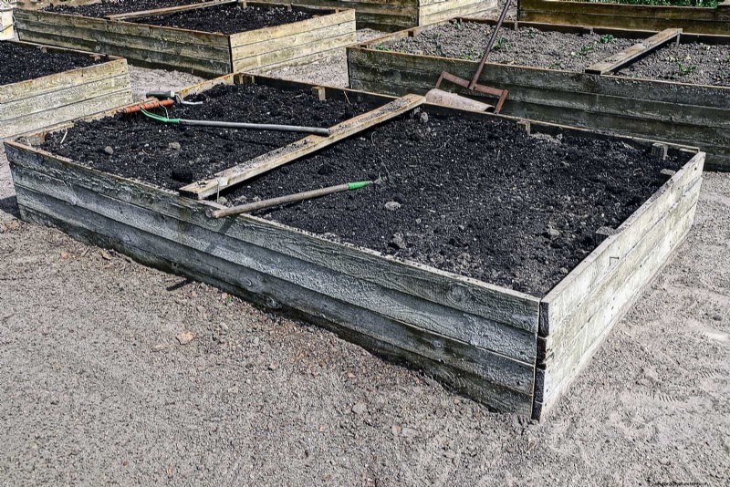 Avoid Common Raised Bed Gardening Mistakes for a Bountiful Harvest