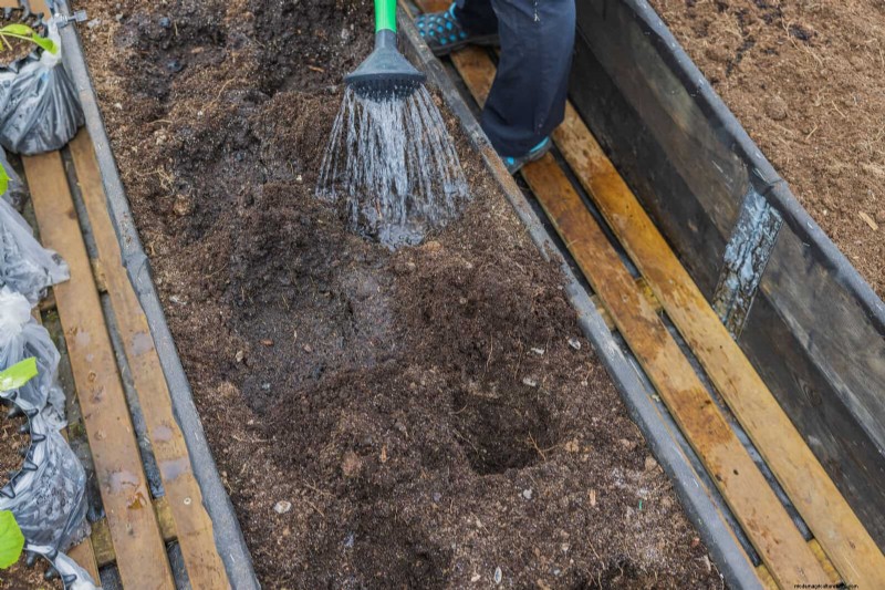 Avoid Common Raised Bed Gardening Mistakes for a Bountiful Harvest
