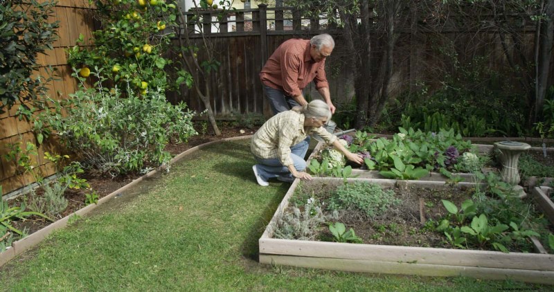 Avoid Common Raised Bed Gardening Mistakes for a Bountiful Harvest