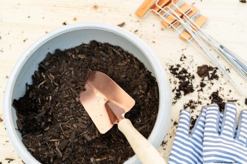 Reusing Used Potting Soil: Creative & Sustainable Ideas