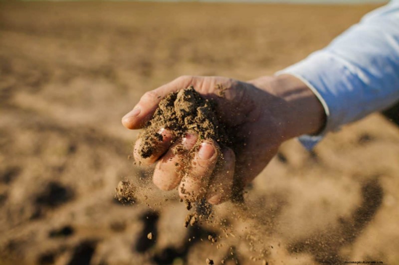 Reusing Used Potting Soil: Creative & Sustainable Ideas