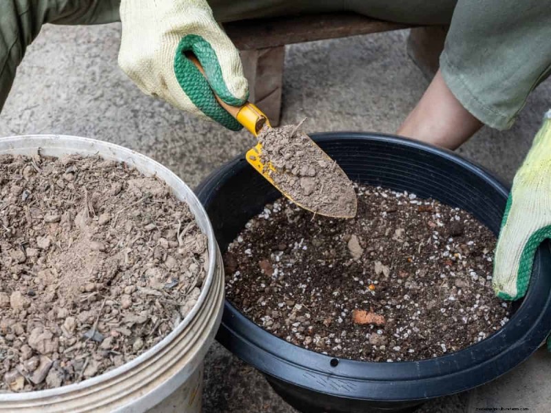 Reusing Used Potting Soil: Creative & Sustainable Ideas