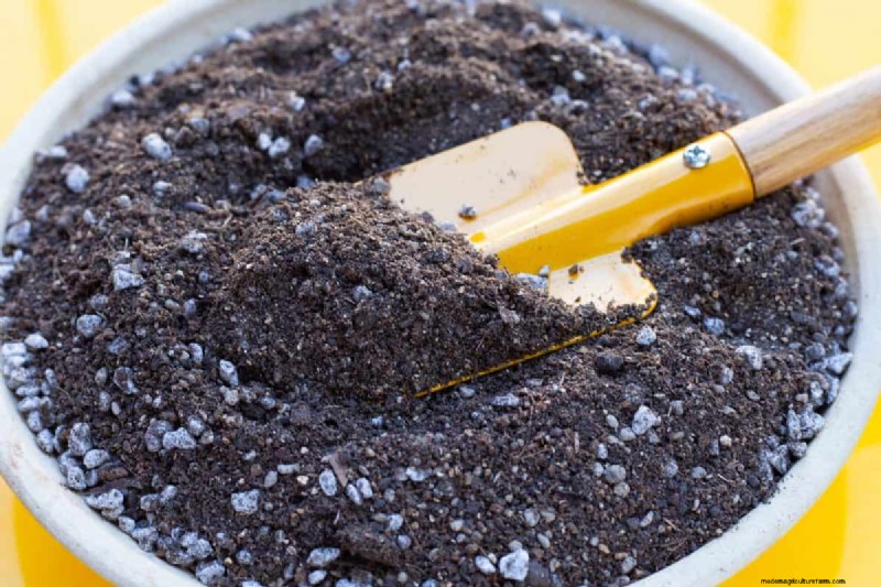 Reusing Used Potting Soil: Creative & Sustainable Ideas
