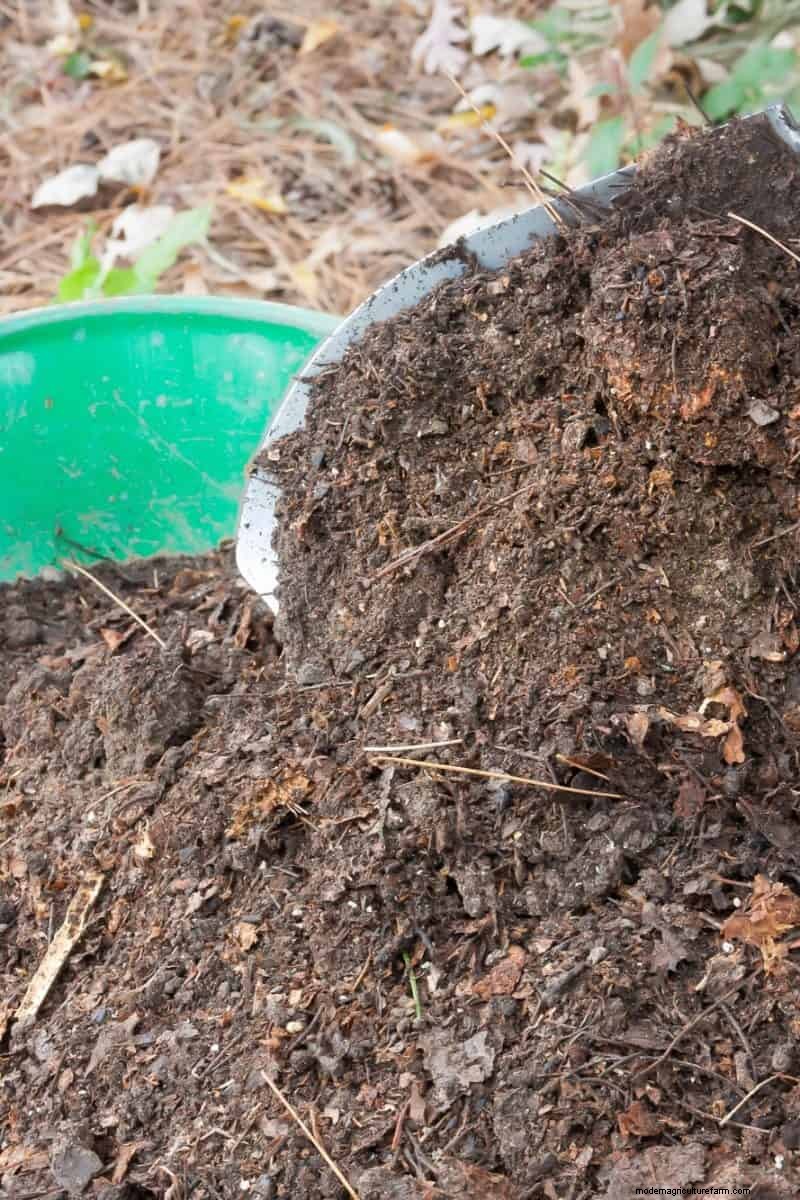 Reusing Used Potting Soil: Creative & Sustainable Ideas
