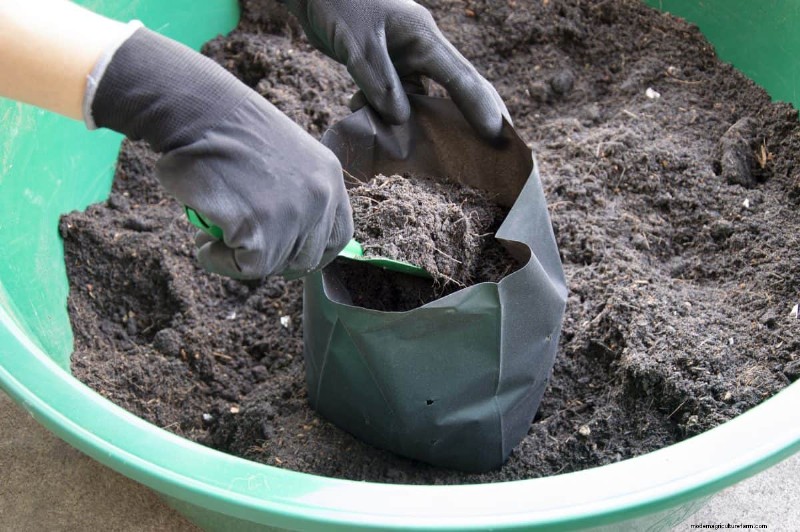 Reusing Used Potting Soil: Creative & Sustainable Ideas