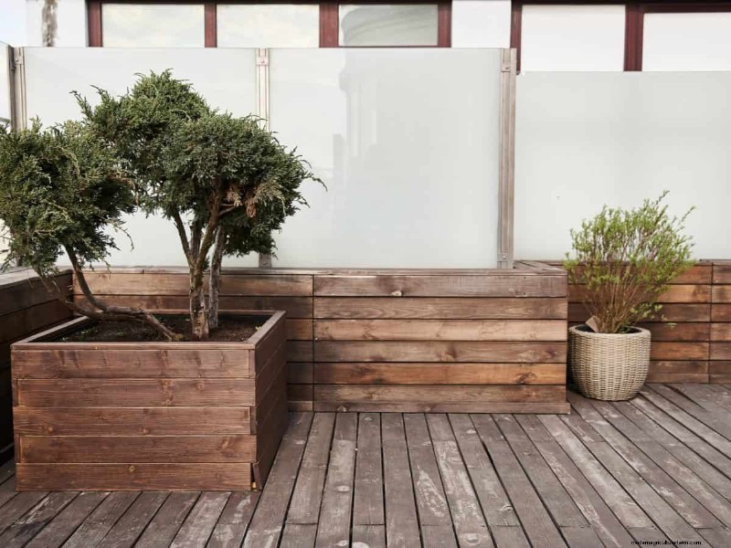Reusing Used Potting Soil: Creative & Sustainable Ideas