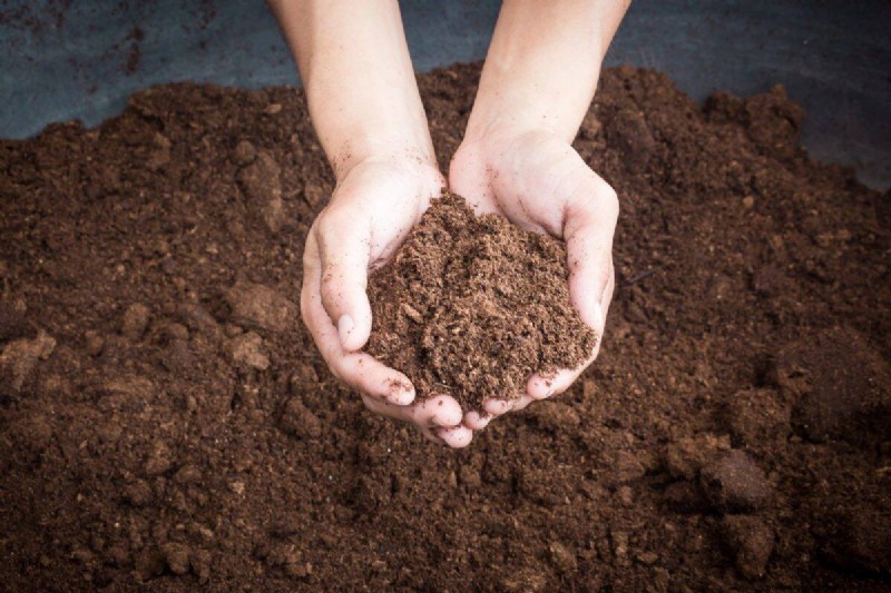 Reusing Used Potting Soil: Creative & Sustainable Ideas