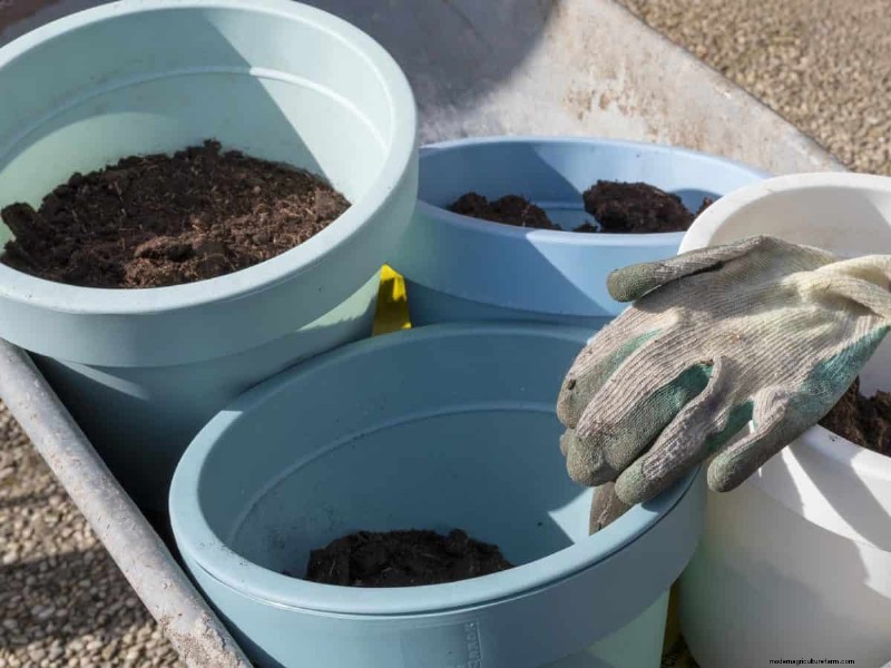 Reusing Used Potting Soil: Creative & Sustainable Ideas