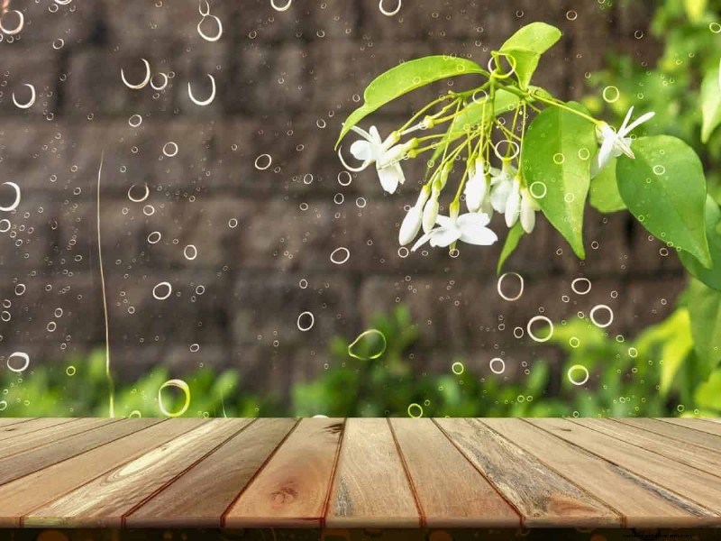 Deck Staining Frequency: How Often Should You Stain?