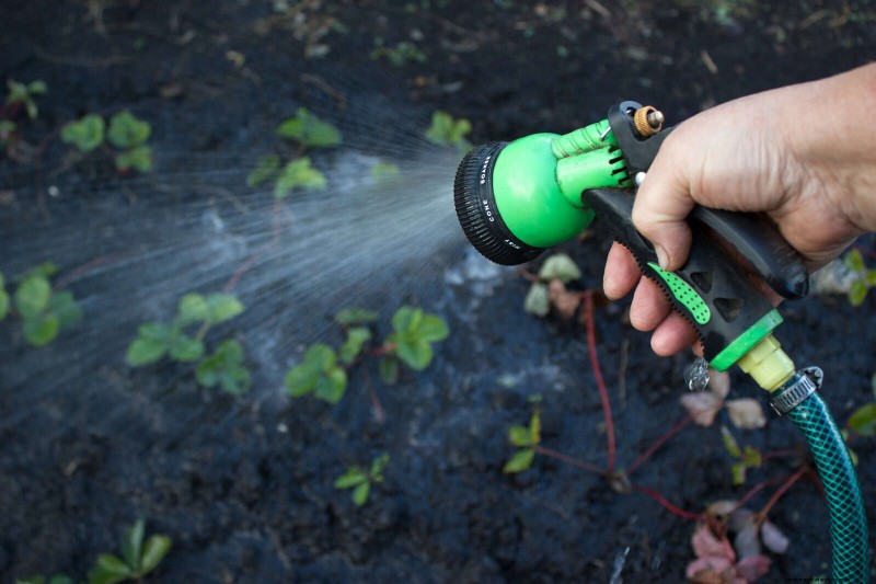 24 Common Gardening Mistakes & How to Fix Them
