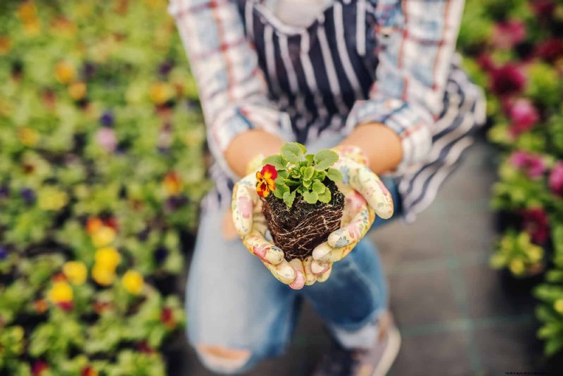 24 Common Gardening Mistakes & How to Fix Them