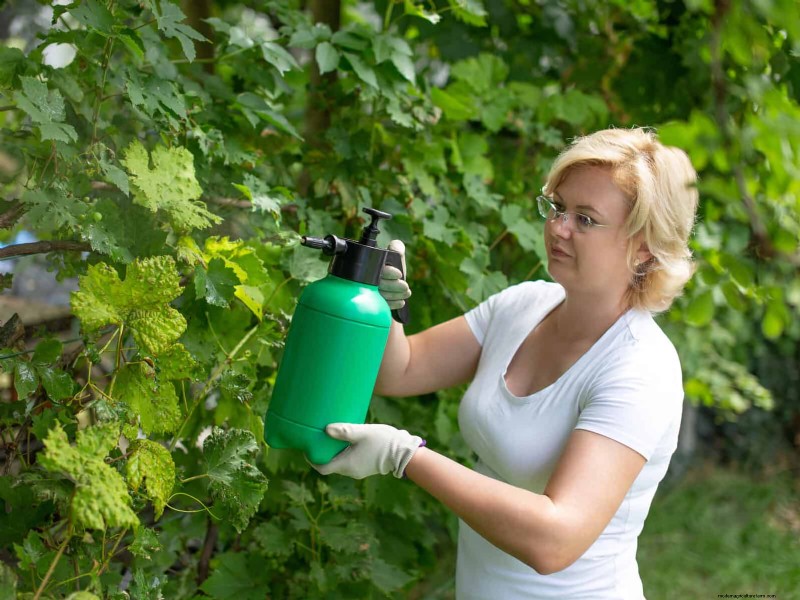 24 Common Gardening Mistakes & How to Fix Them