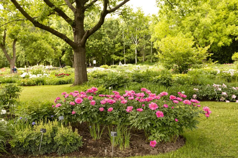 24 Common Gardening Mistakes & How to Fix Them
