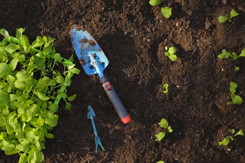 24 Common Gardening Mistakes & How to Fix Them